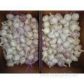 Normal White Garlic Size 5.0cm